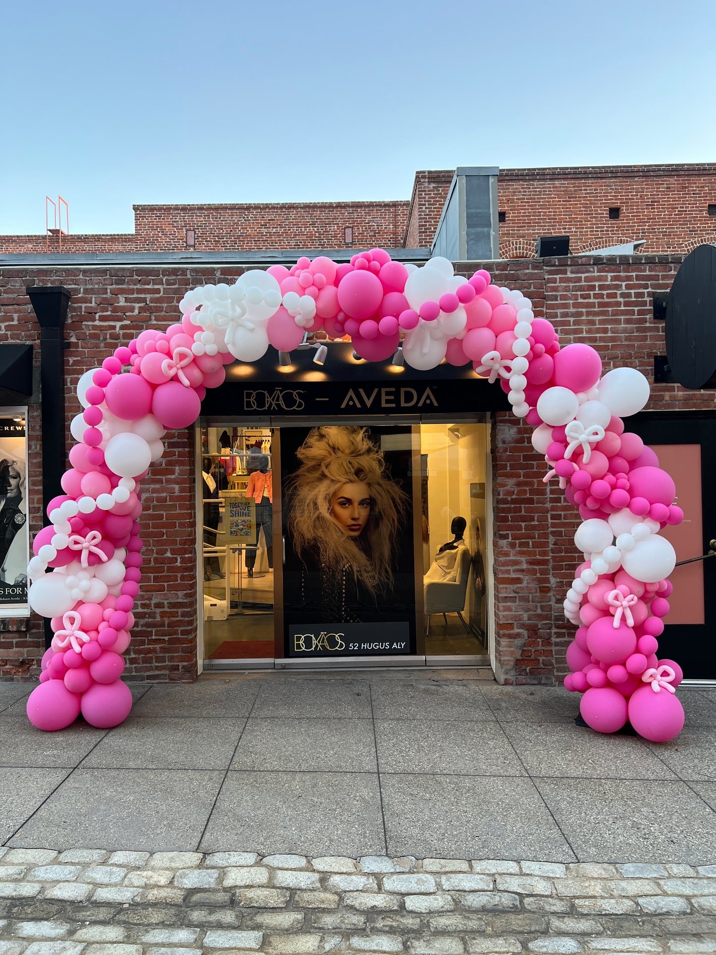 Balloon Arch